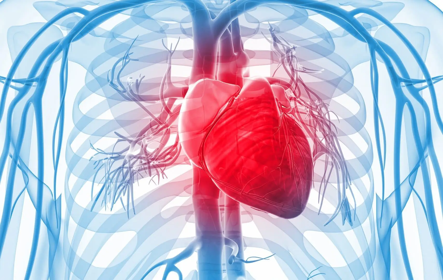 BLS CPR Certification Classes